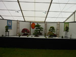 AFS 2016 11.JPG